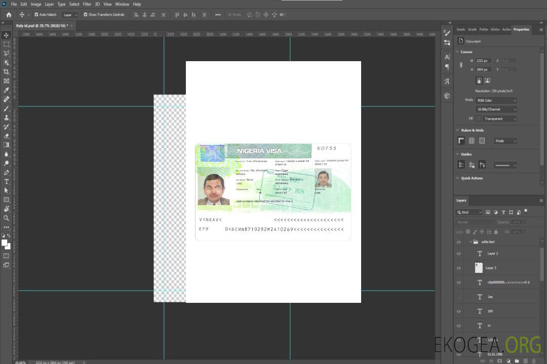 Visa Nigéria 2024-présent template Visa Nigéria 2024-présent template